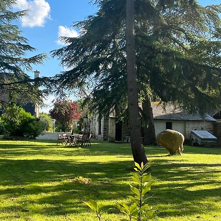 Maison De Charme Saint-Saturnin-sur-Loire 外观 照片